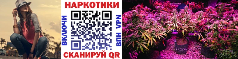 Названия наркотиков Торопец ОМГ ОМГ онион А ПВП Бошки Шишки Амфетамин Галлюциногенные грибы Гашиш COCAIN