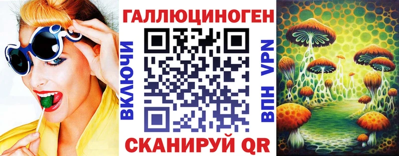 что такое   Торопец  Псилоцибиновые грибы GOLDEN TEACHER 