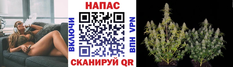 Марихуана LSD WEED  Торопец 